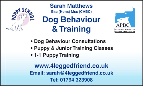 Dog Training in Hampshire